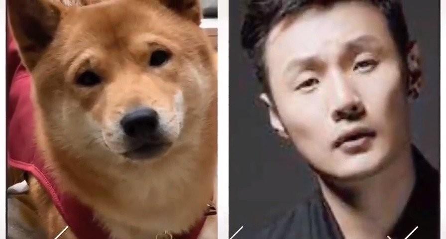 10位撞脸动物的明星,王一博还能忍,看到易烊千玺:简直是神似