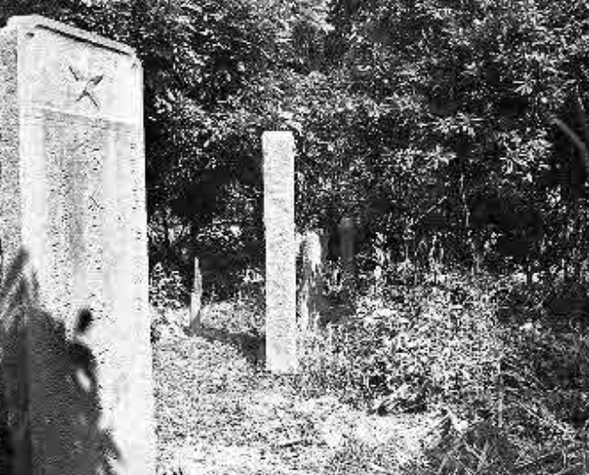 35年,邓萍烈士被葬在地主墓山上,知情者:地主回来后曾观察过