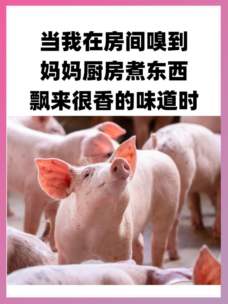 哎呀,当孩子嗅到妈妈煮东西飘来的香味时,他们的反应真的是太搞笑了!