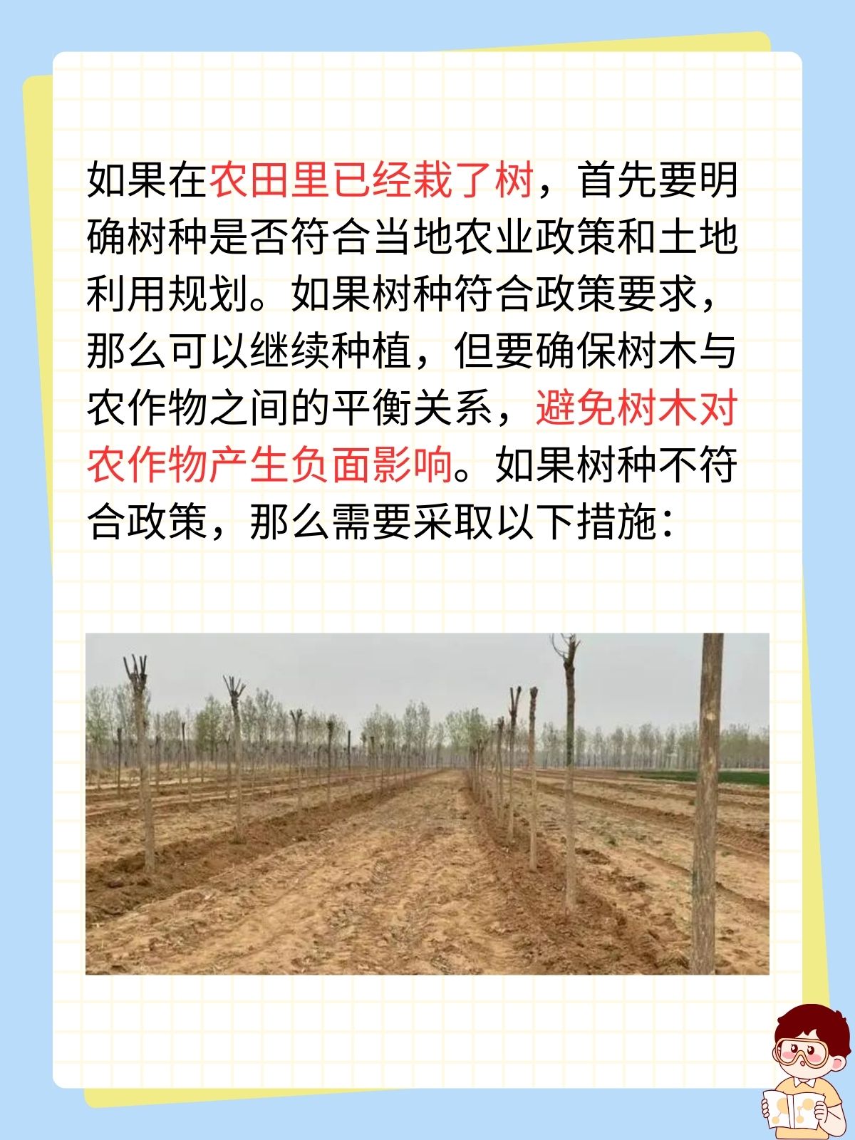 农田禁止栽树已经栽了树的农田怎么办?