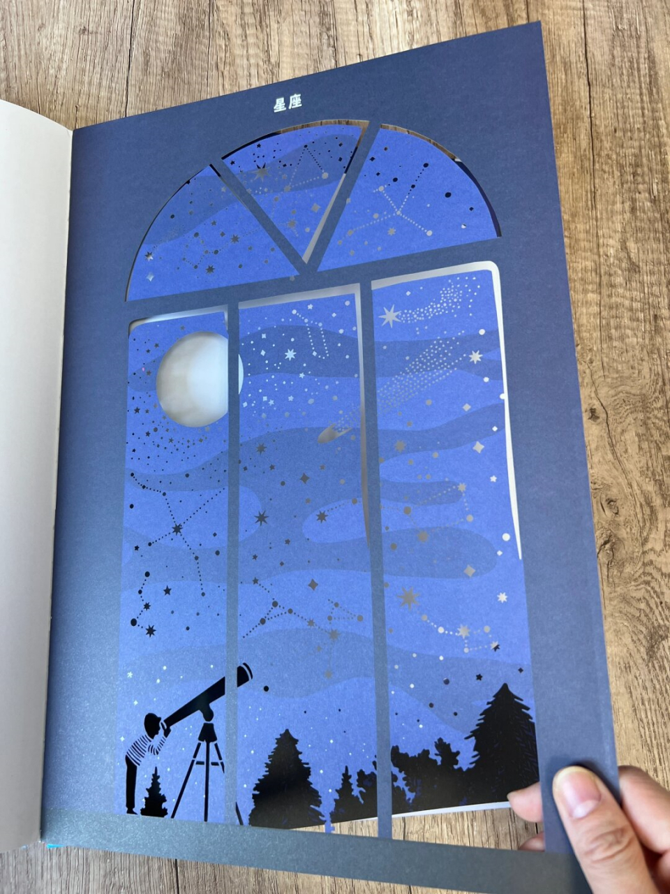 《天空》  这是一本让人眼前一亮的科普绘本,封面独特的蓝色调让人一