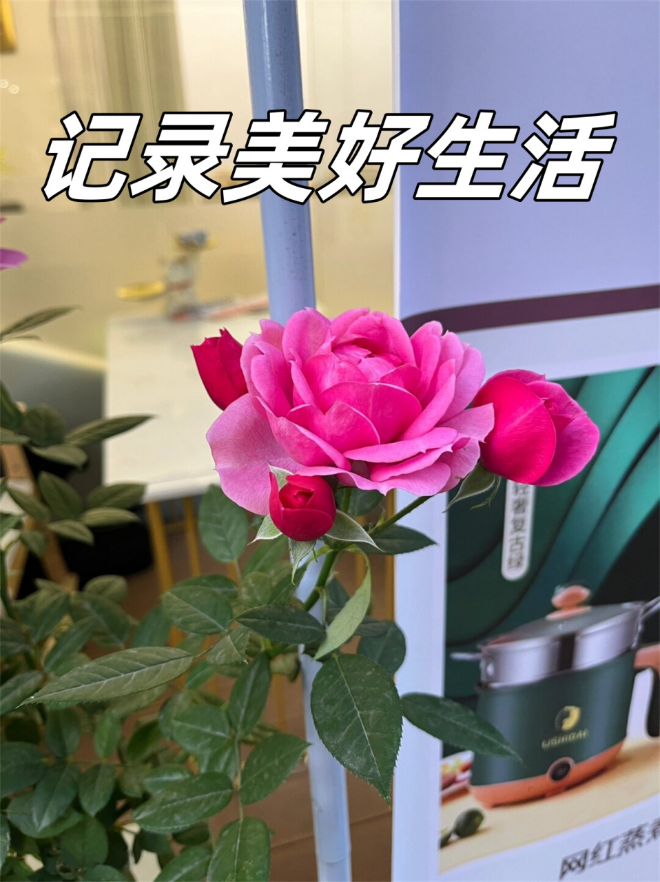 记录美好生活  记录点滴生活,留下美好回忆.