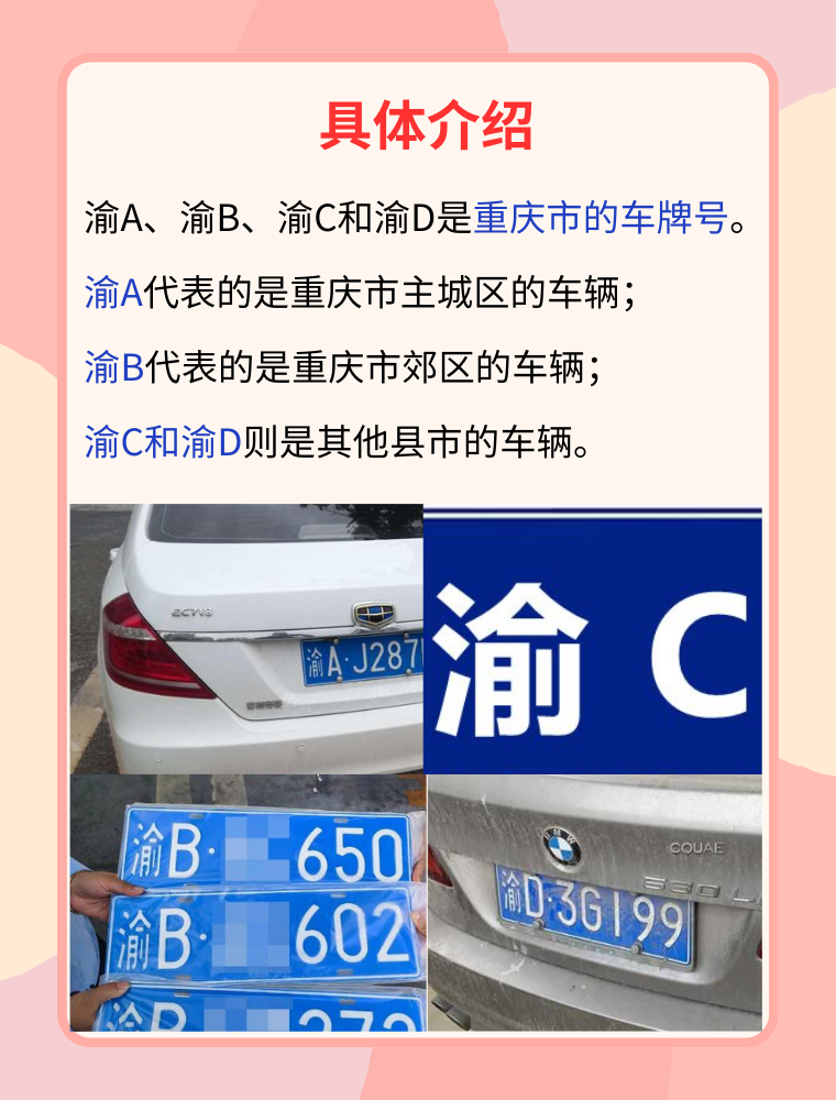 渝a,渝b,渝c和渝d是重庆市的车牌号,代表了不同的地区和车辆类型.