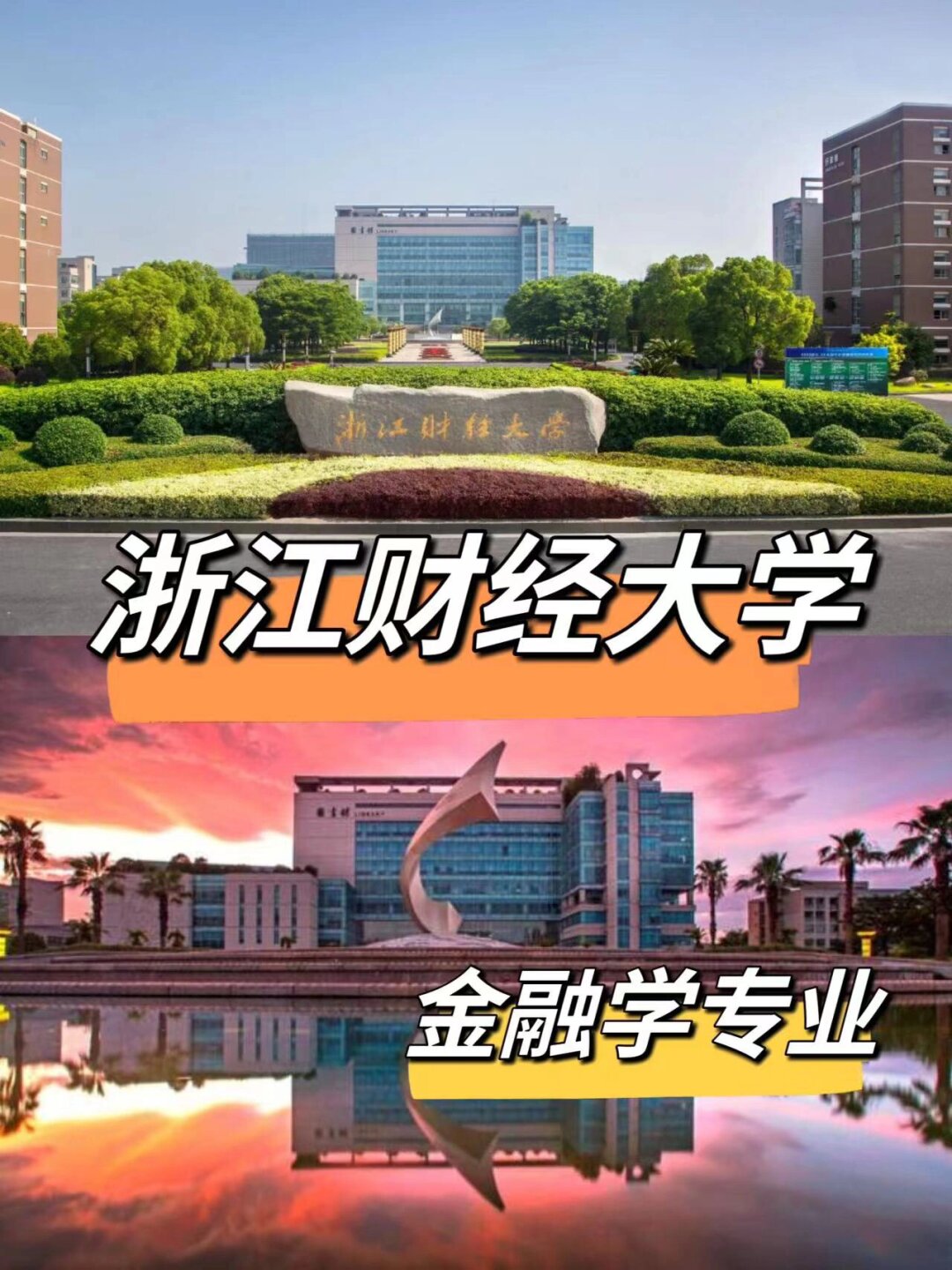 财经大学是学文还是学理(报考财经类大学 读文科还是理科)