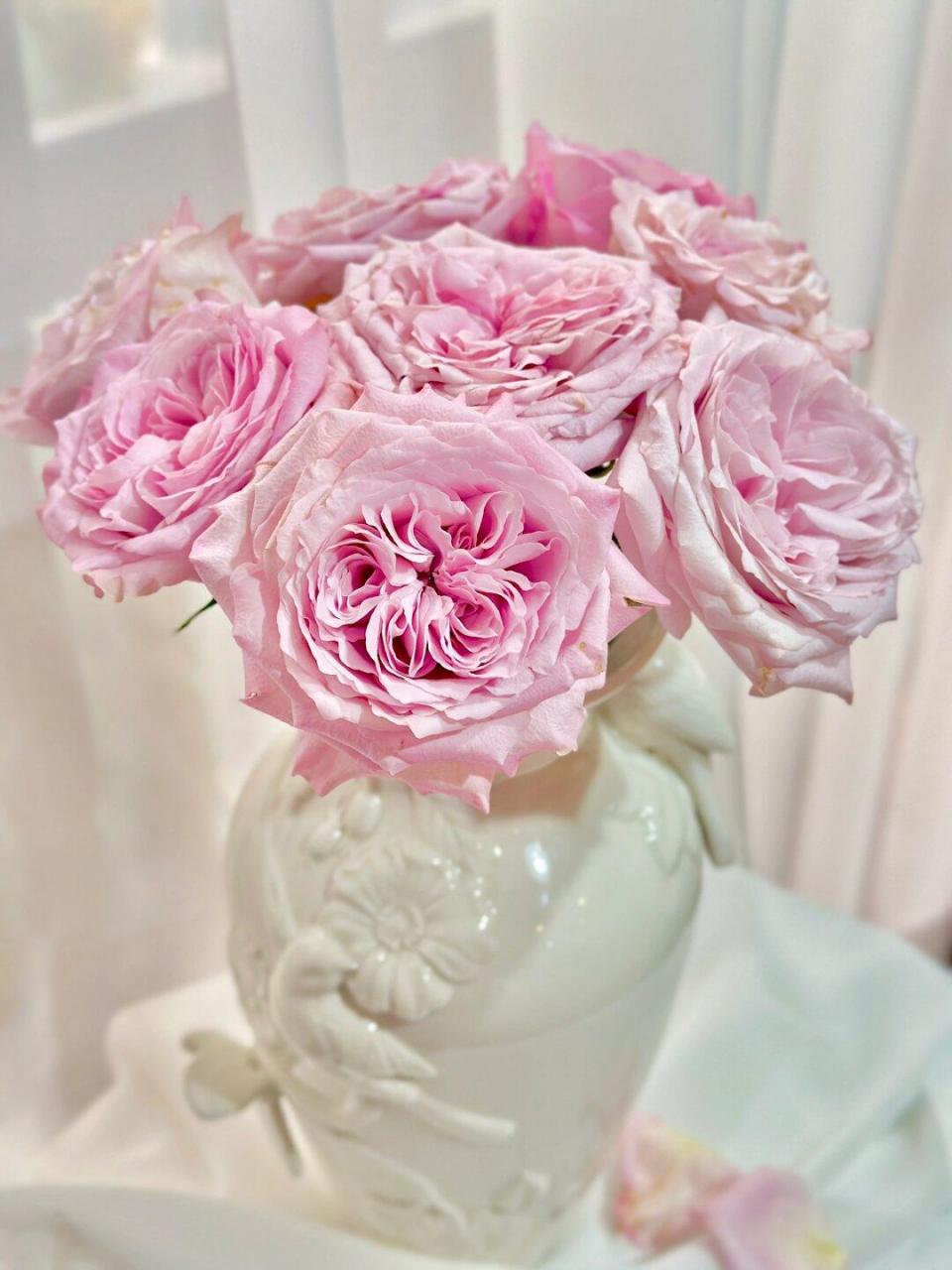 甜蜜长相思玫瑰  让你瞬间坠入浪漫仙境94