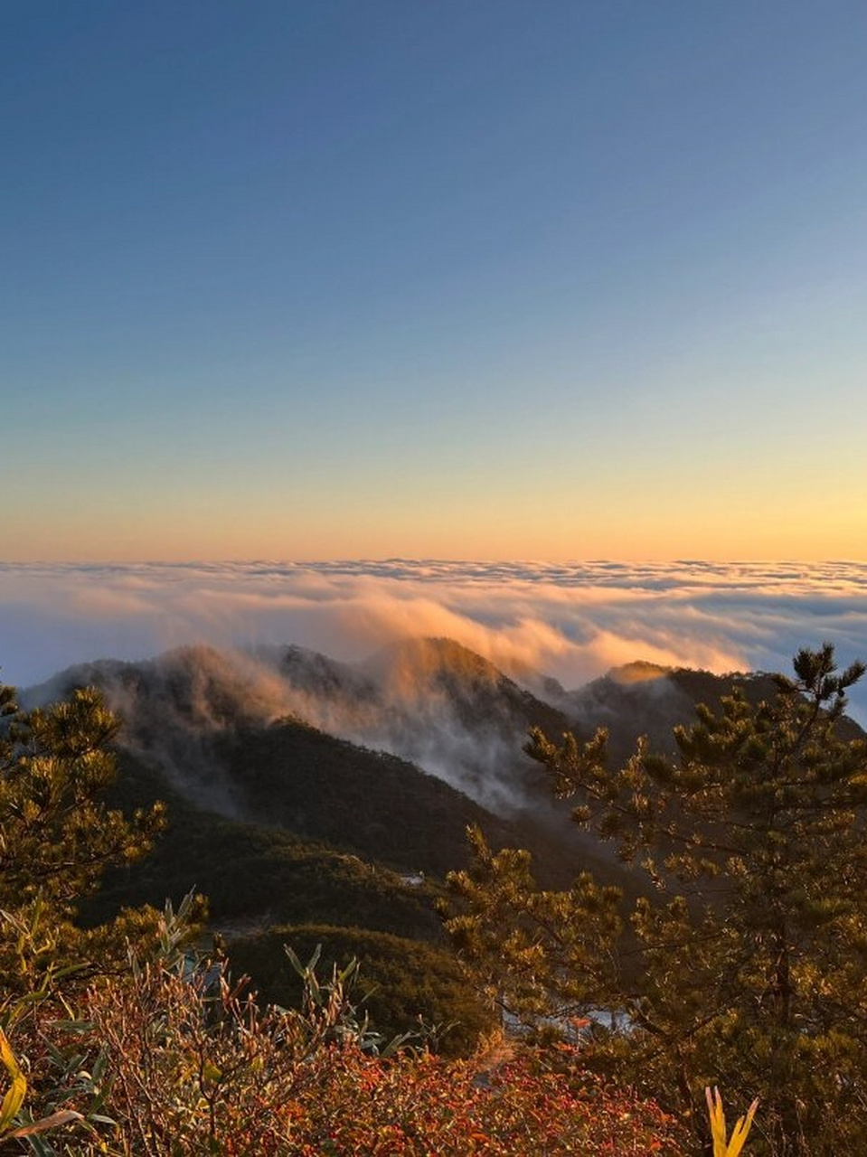德化九仙山  德化九仙山,一个宛如人间仙境的地方,绝对值得你早起一探