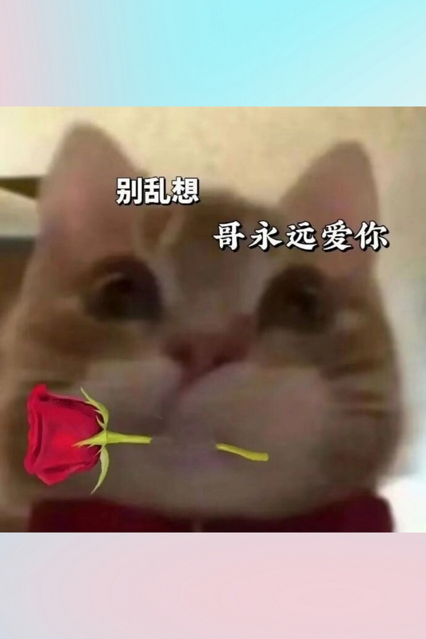 论00后的发癫表情包