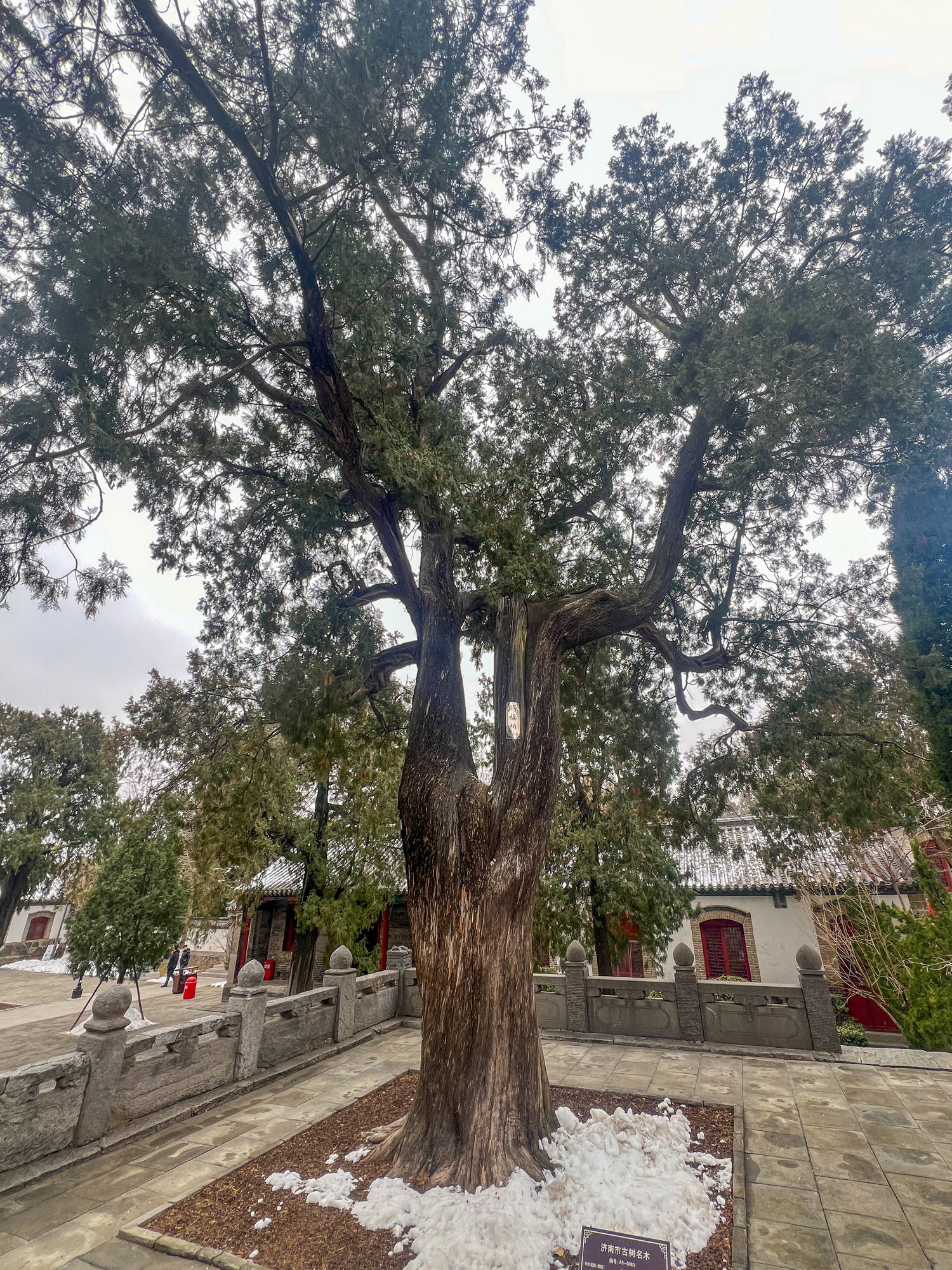 济南华阳宫古建筑群位于华不注山南麓,始建年代可追溯到晋代,距今已逾