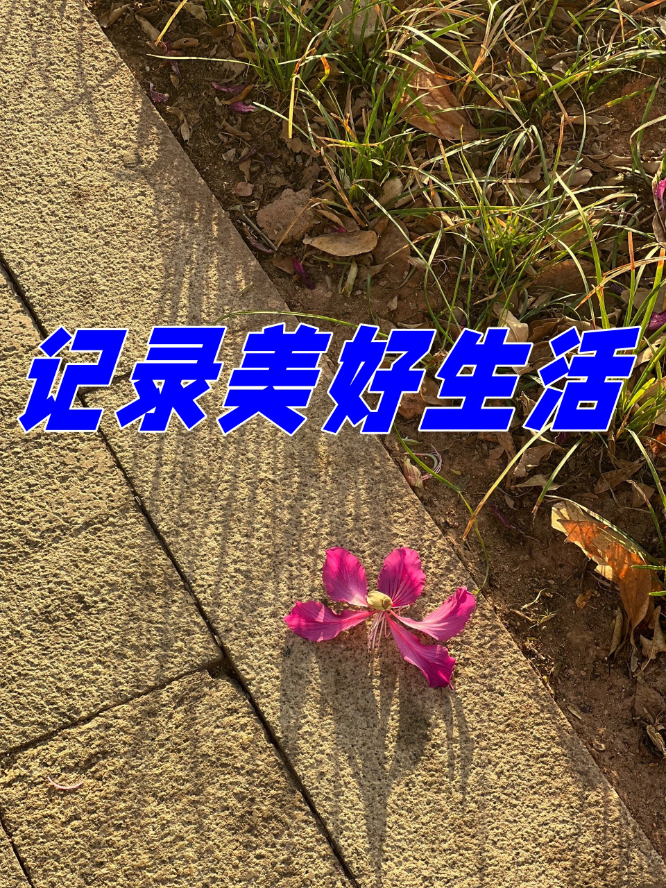 记录美好生活  记录美好生活,是让我们把那些温暖的,感动的,快乐的