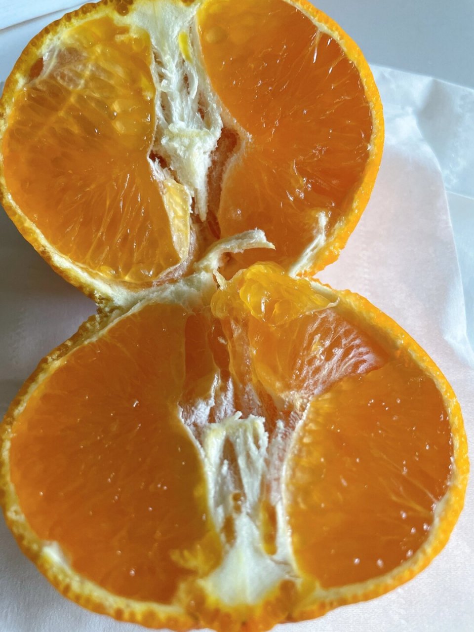 终于盼到了第二箱爱媛果冻橙,我的心情无比激动!