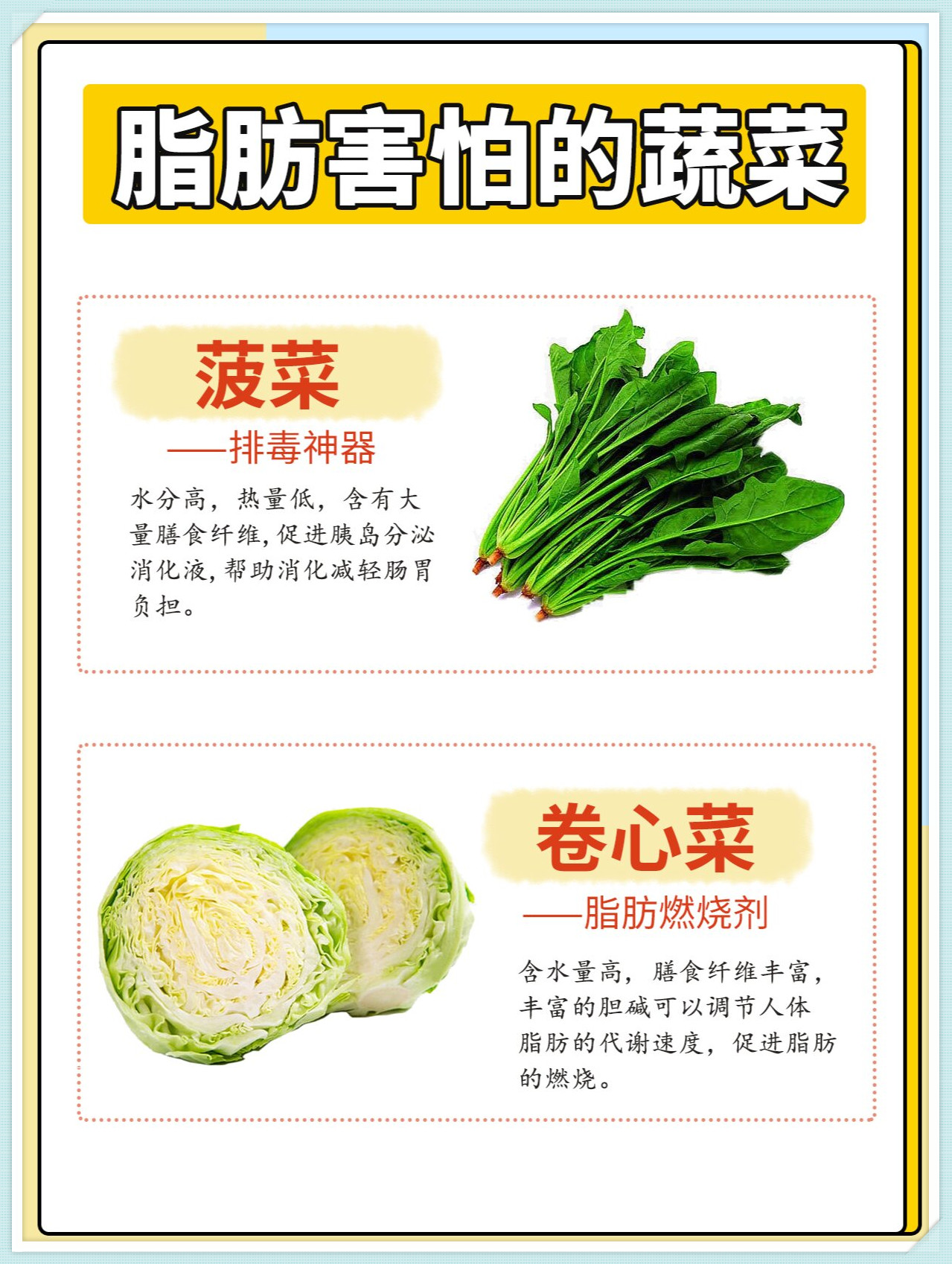 可以减肥减脂 芹菜 含有特殊香味能促进体内分泌物增加促进消化帮助