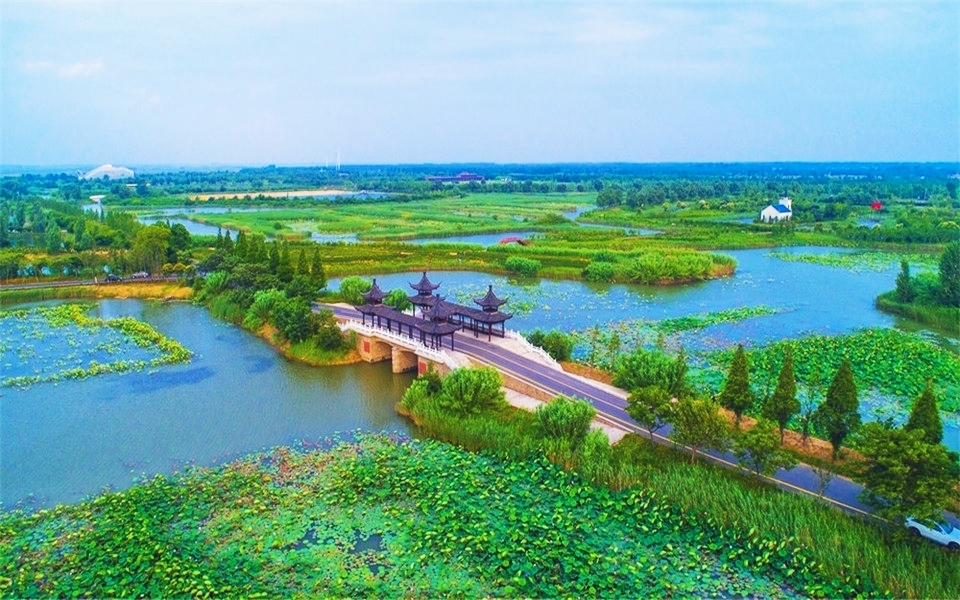 宿迁泗洪洪泽湖湿地公园:自然的魅力与生命的交响曲