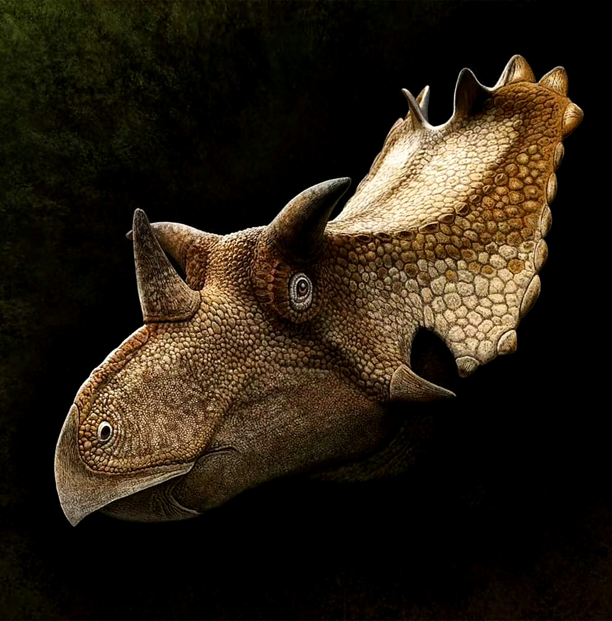 画师andrey atuchin古生物插画欣赏,描绘了中生代各种