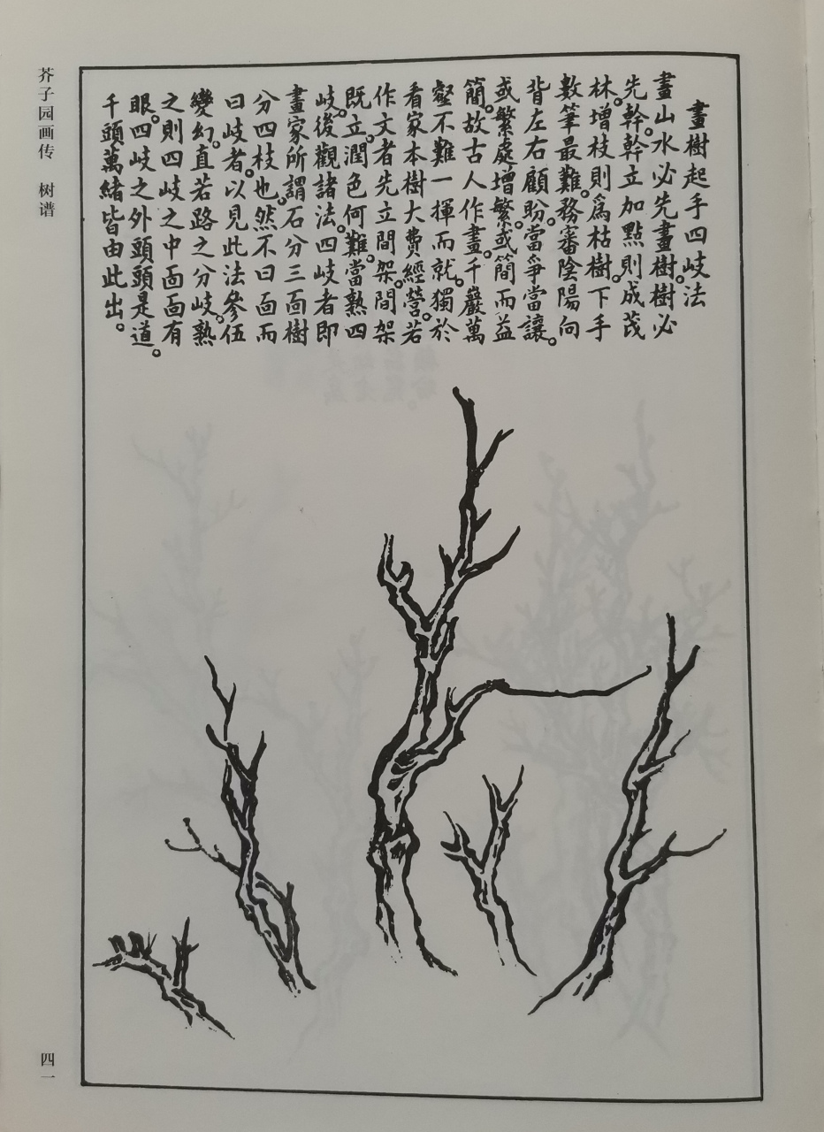 芥子园画谱,买来好多年,一直束之高阁,今年准备拿出来好好学着画一画