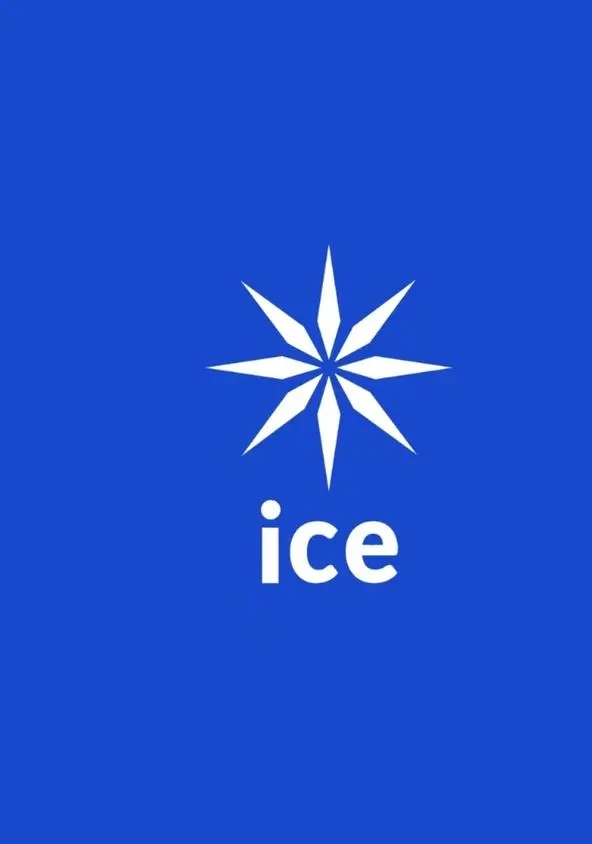 融智ICE图片