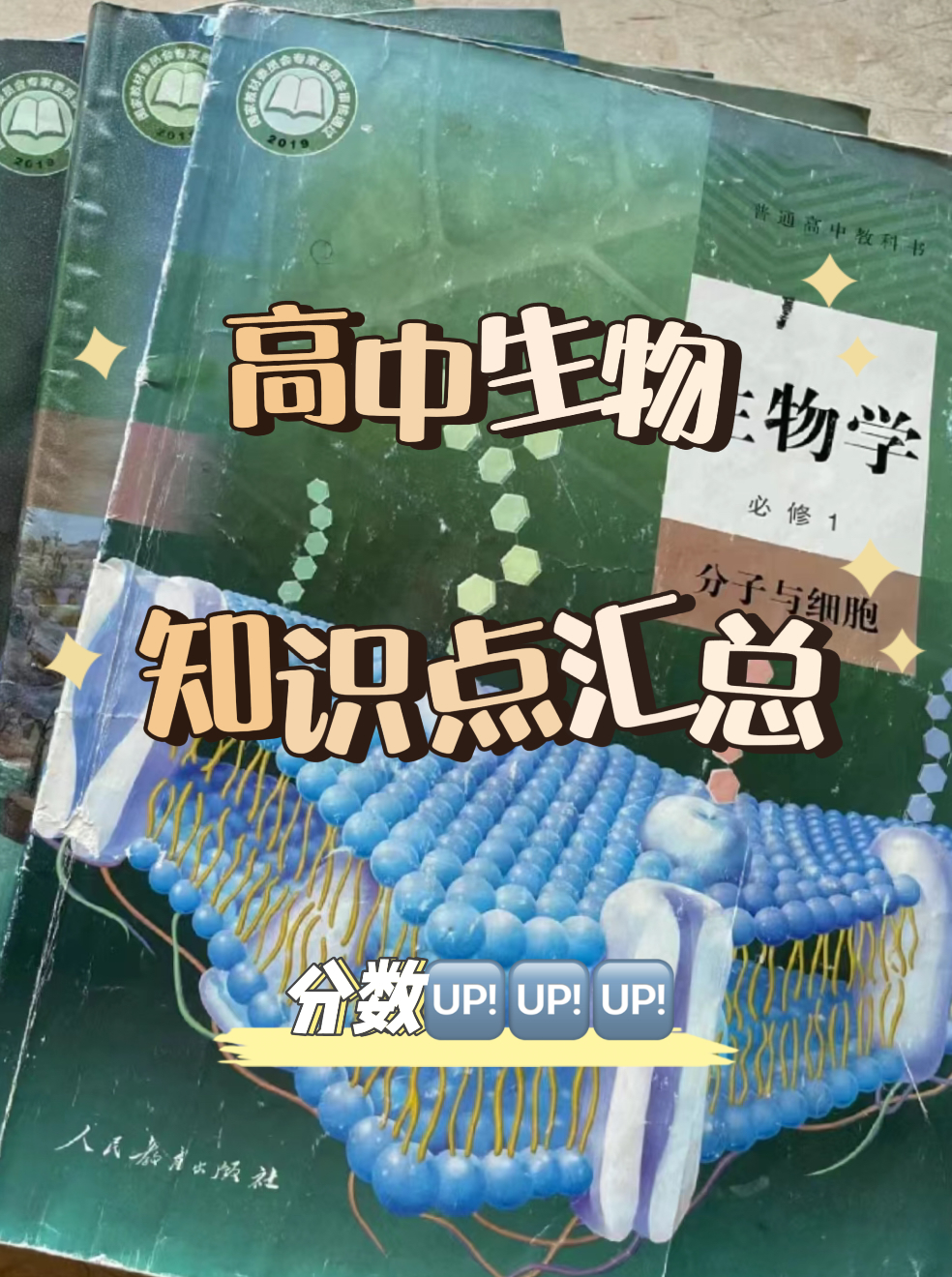 高中生物背课本(高中生物背书有用吗)  第2张