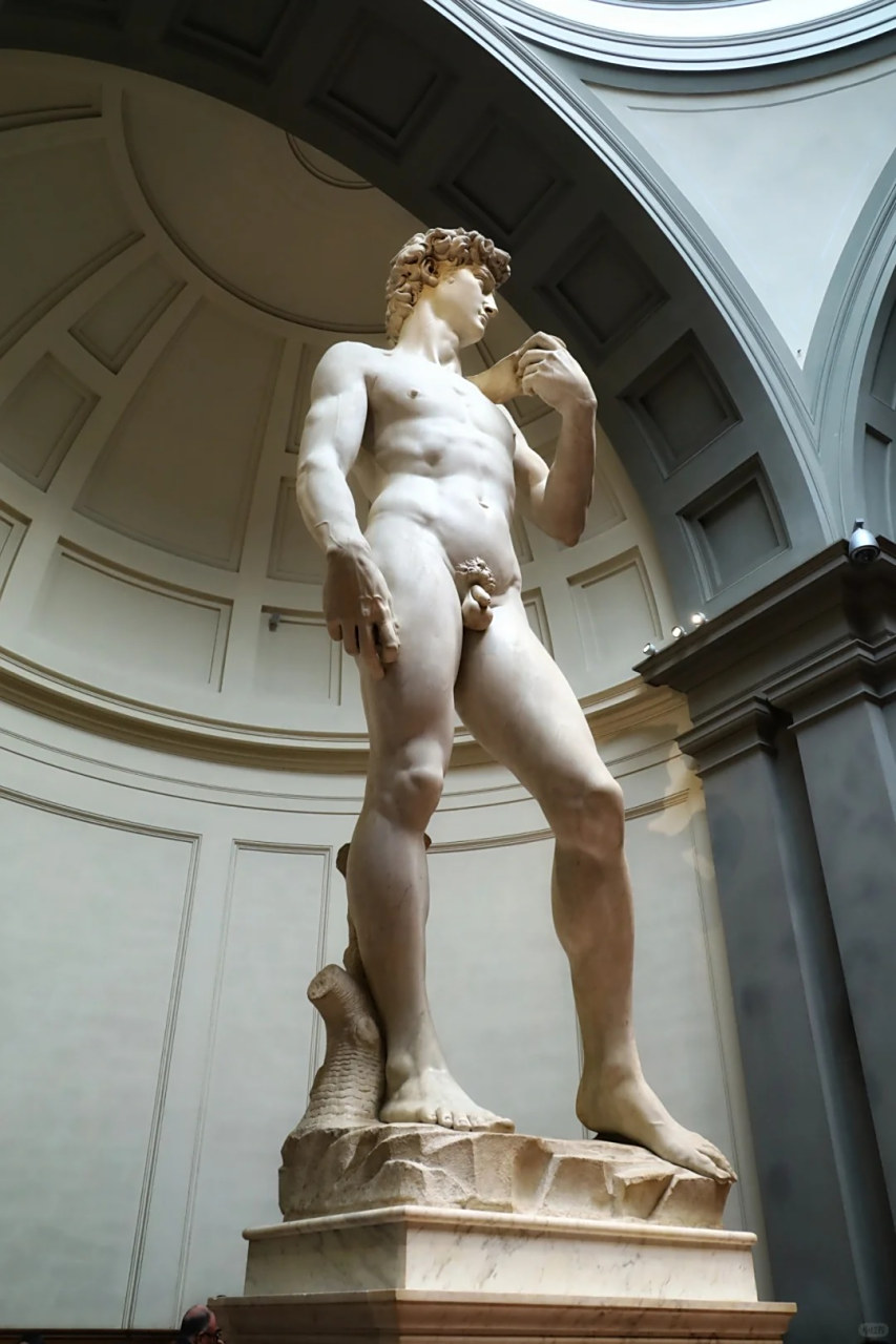 大卫不是很"壮硕",甚至会有天使面庞的感觉