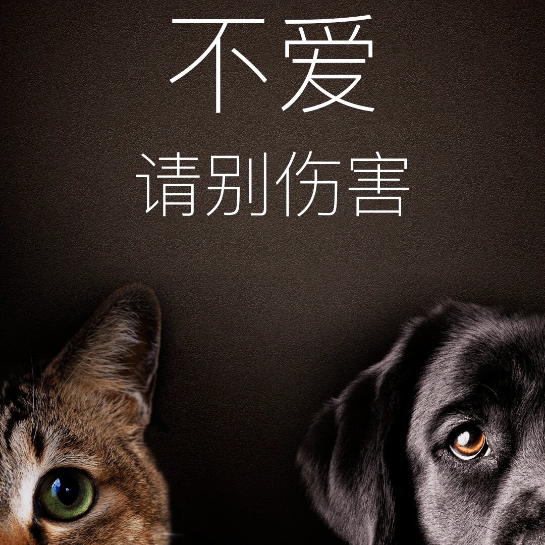 友情提示:各位铲屎官们,请注意以下几点:  1