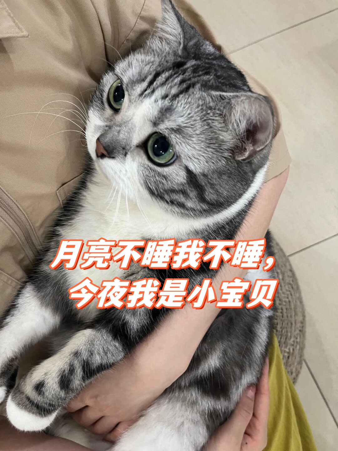 月亮不睡我不睡,今夜我是小宝贝