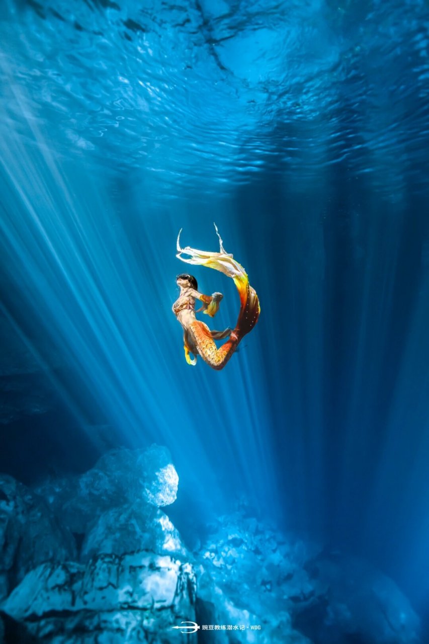 美人鱼|一尾锦鲤 整年好运 国风鲛人  潜水女孩化身国风鲛人,一尾锦鲤