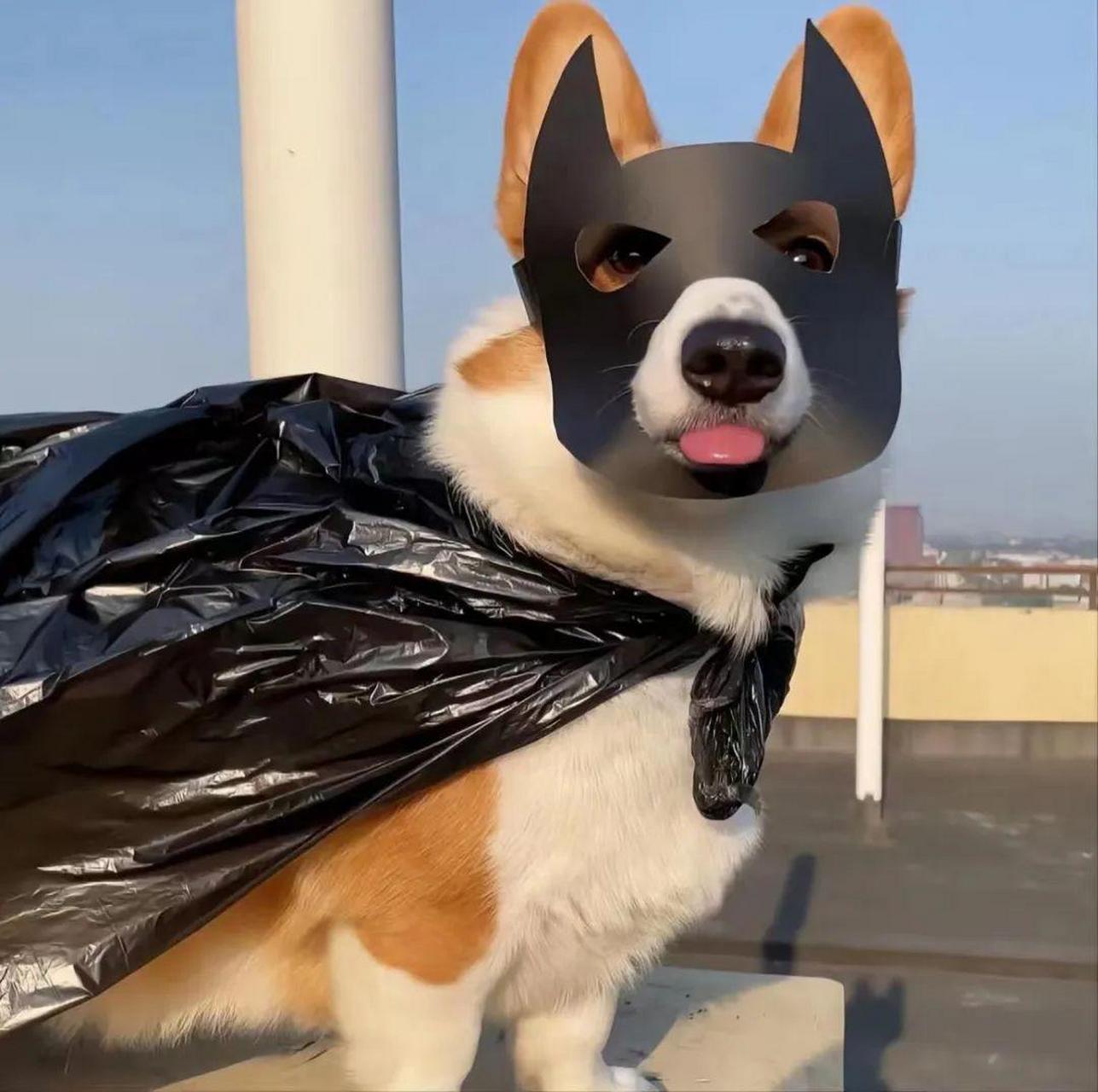 最靓头像壁纸征集赛