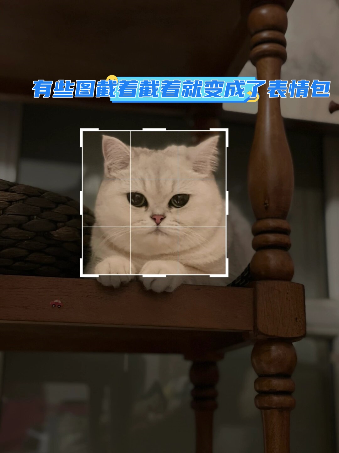 这些表情包不仅有趣,而且还能表达出我们内心的情感.