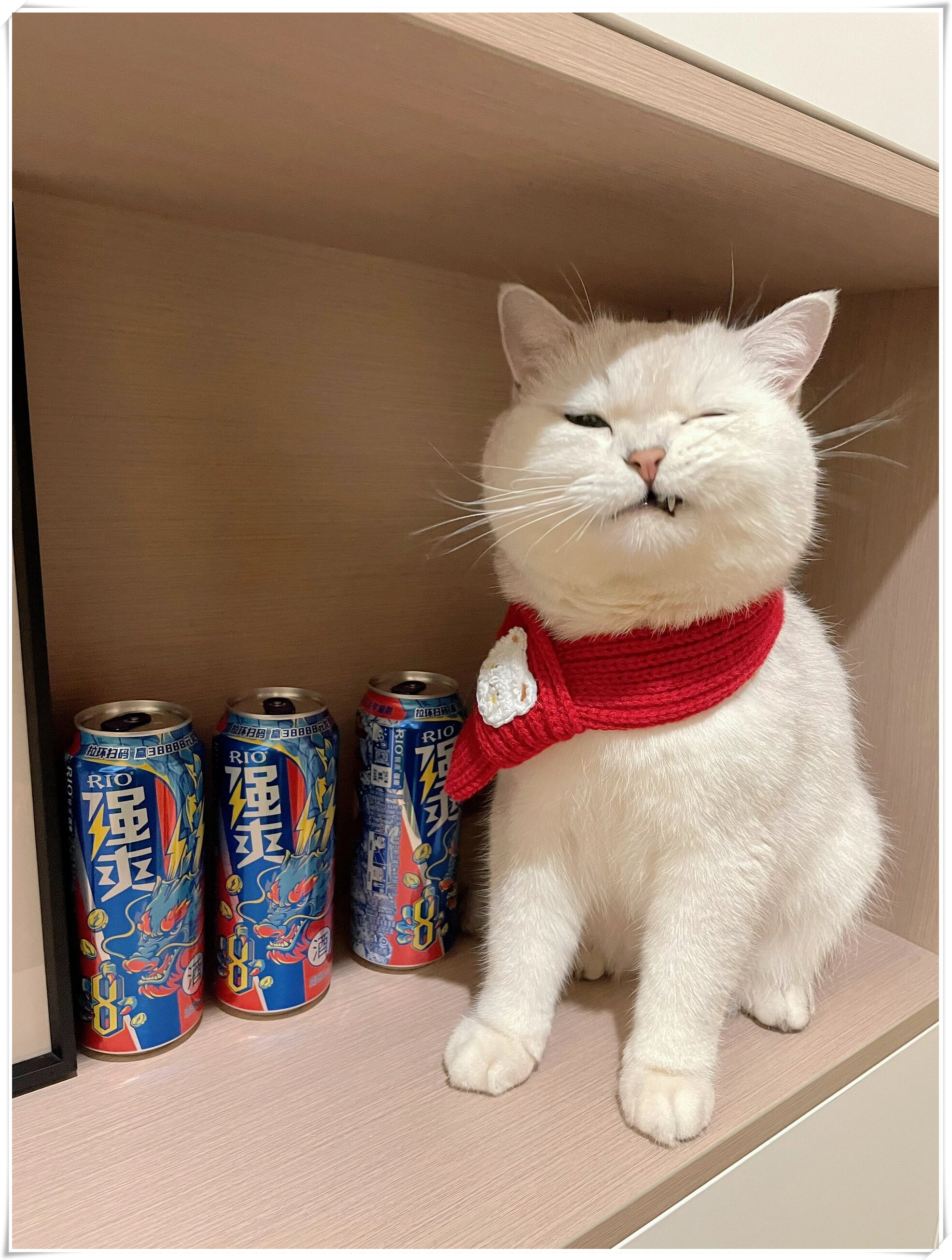 不过她可不止满足于普通的招财猫非得要个银渐层的