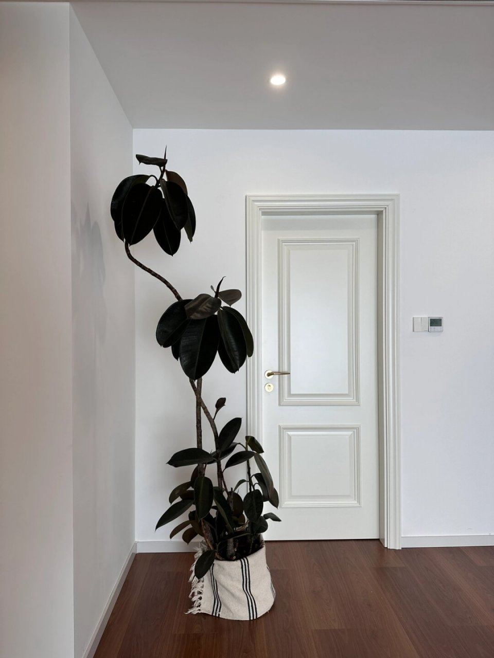 深色木地板与白墙白门绝配  在现代家居设计中,深色地板和大白墙已经