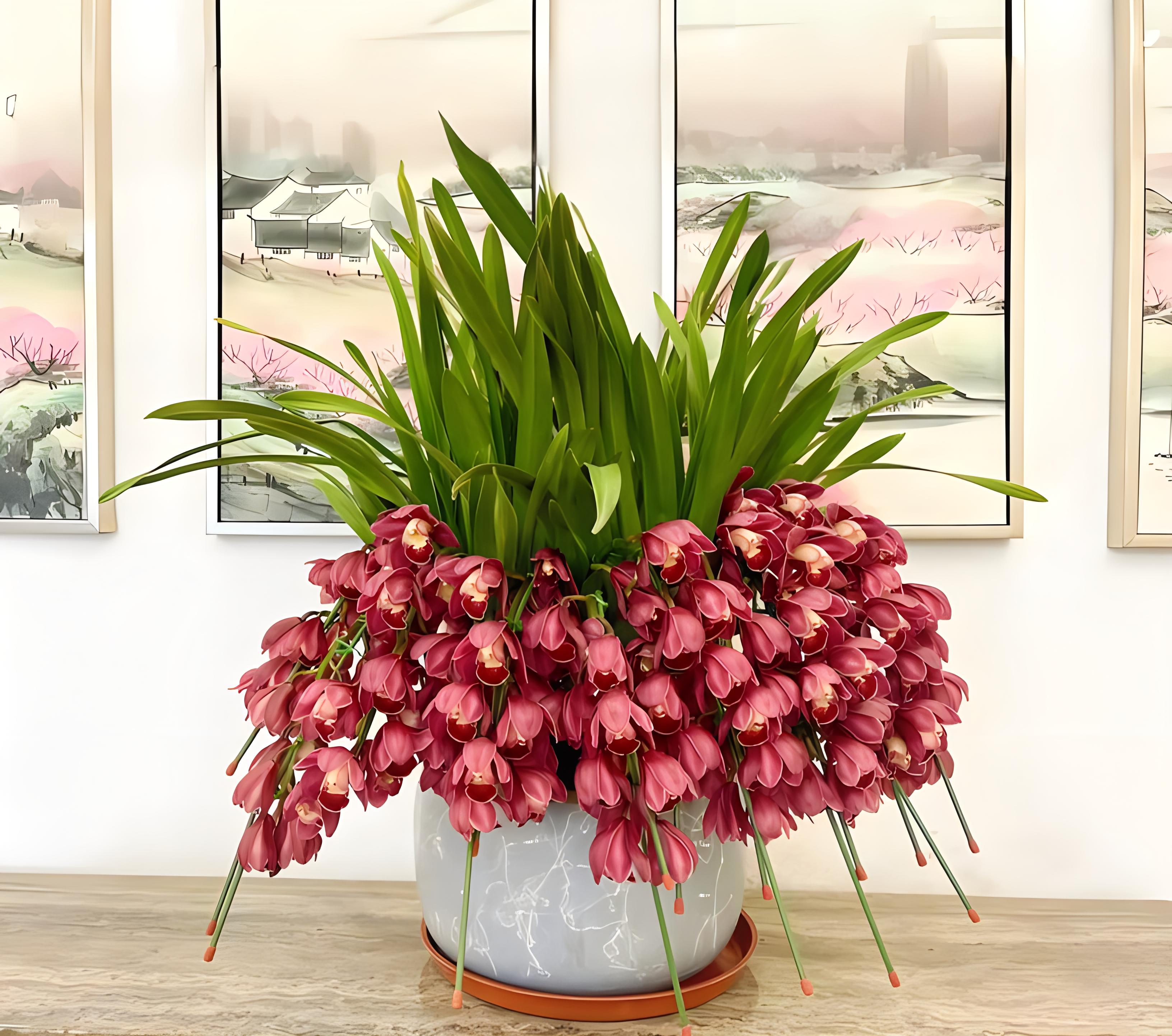 揭秘养护盆栽大花蕙兰的小秘诀!