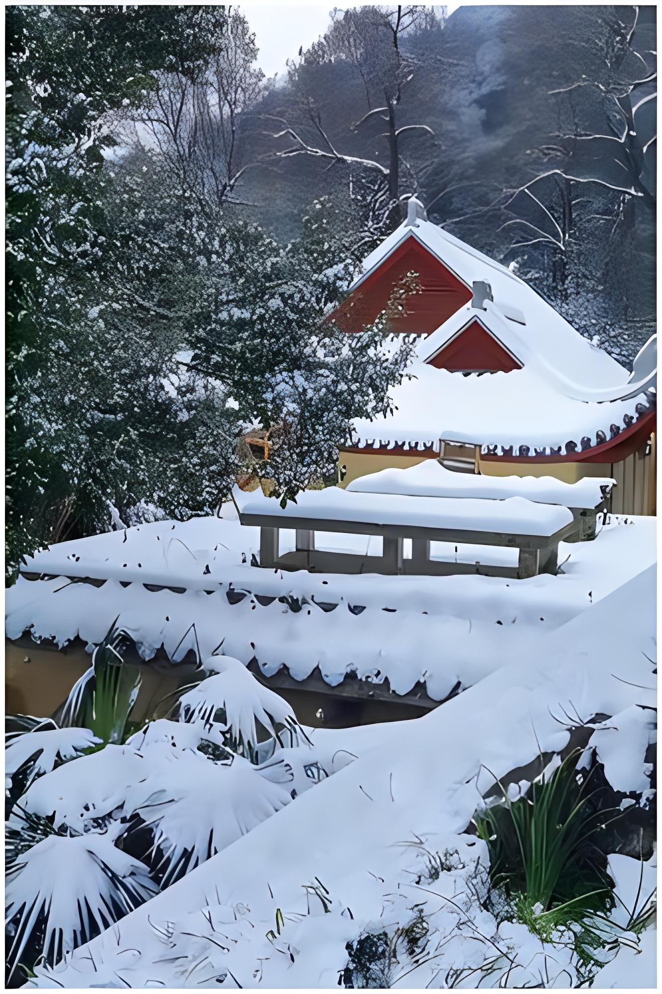 冬季雪花飘飘图片大全图片