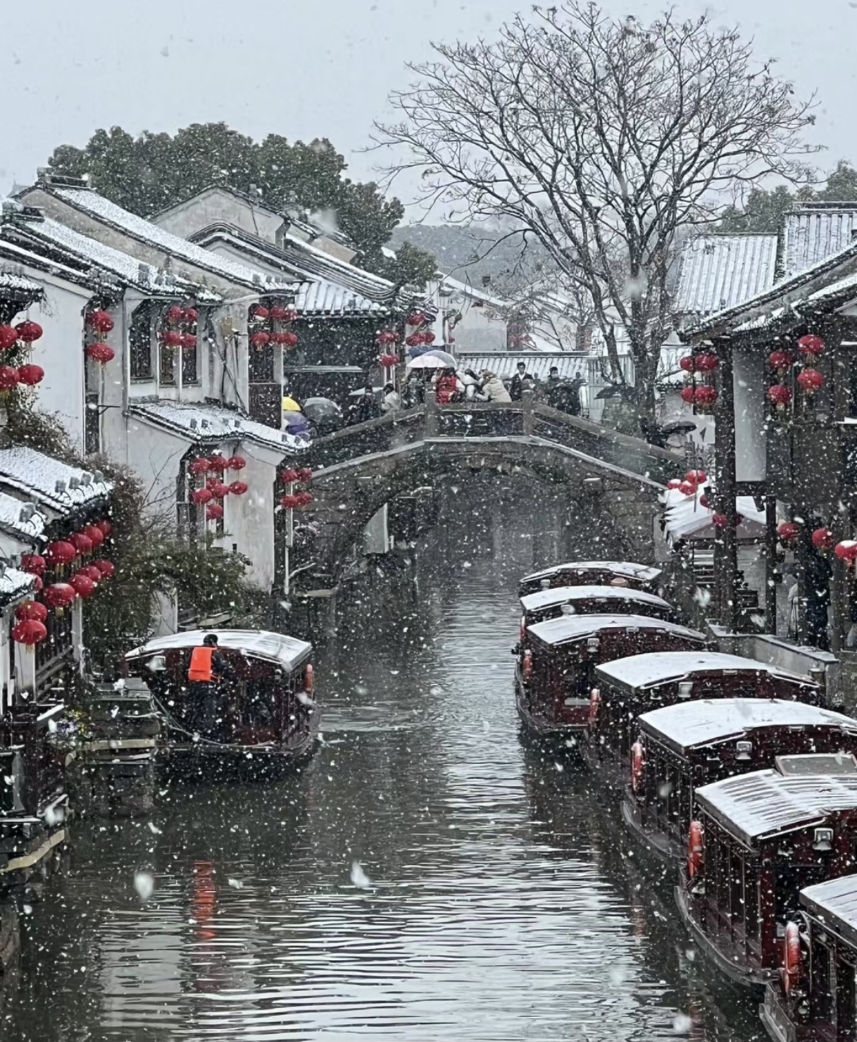 我怕你美晕在江南的冬天