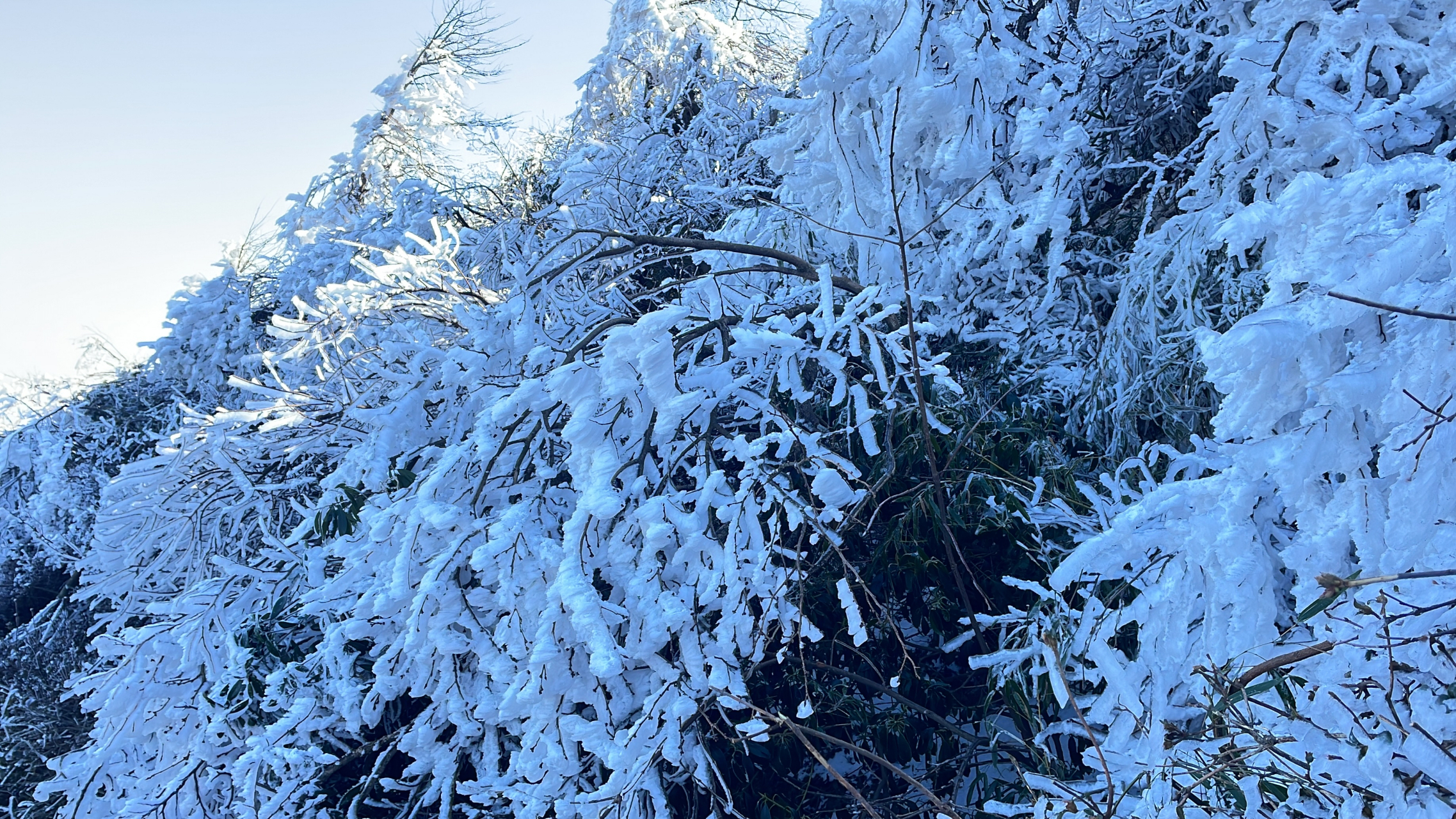 衡山下雪图片