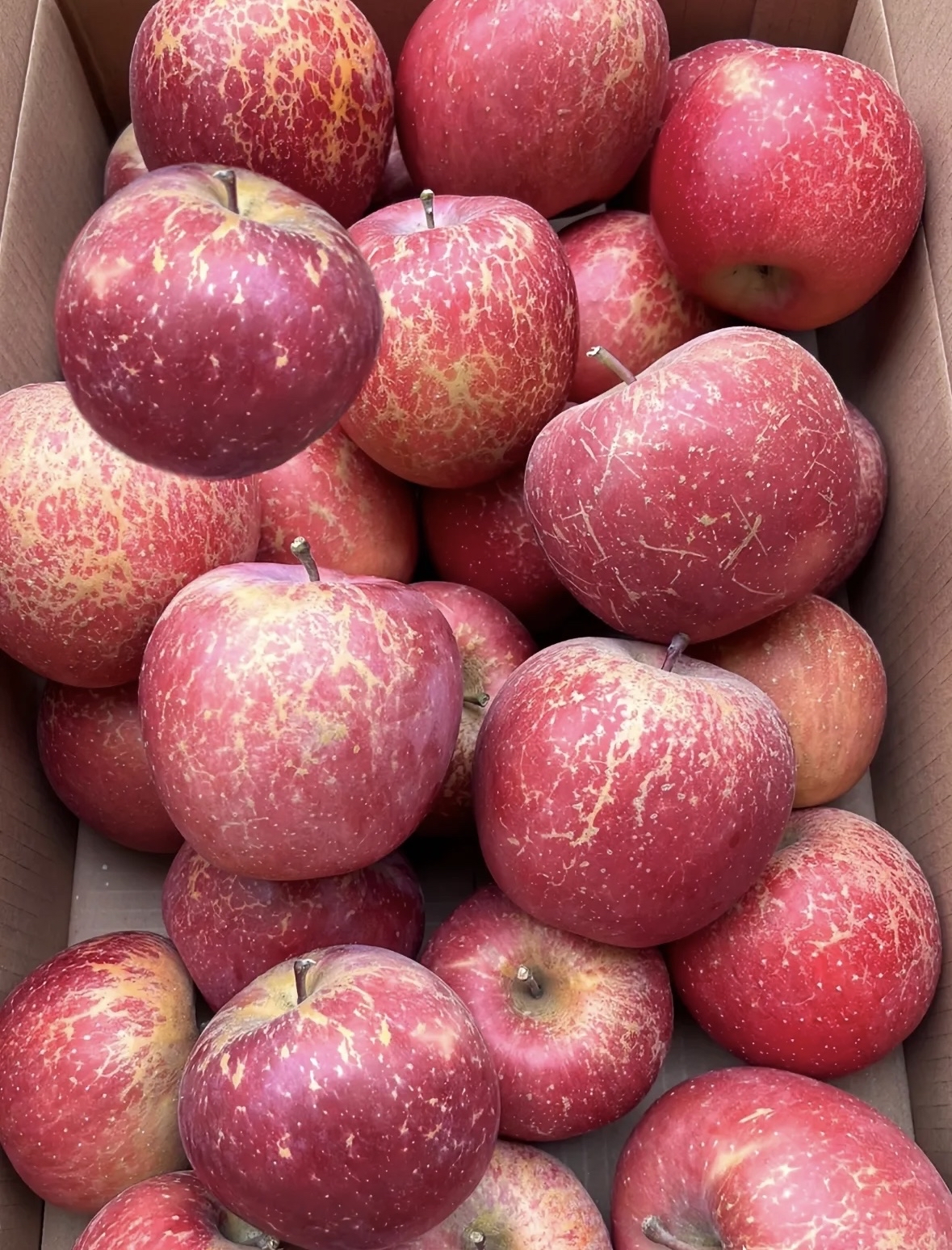 弟媳给我寄来了2箱云南的苹果.我一打开,发现个个丑不拉几的.