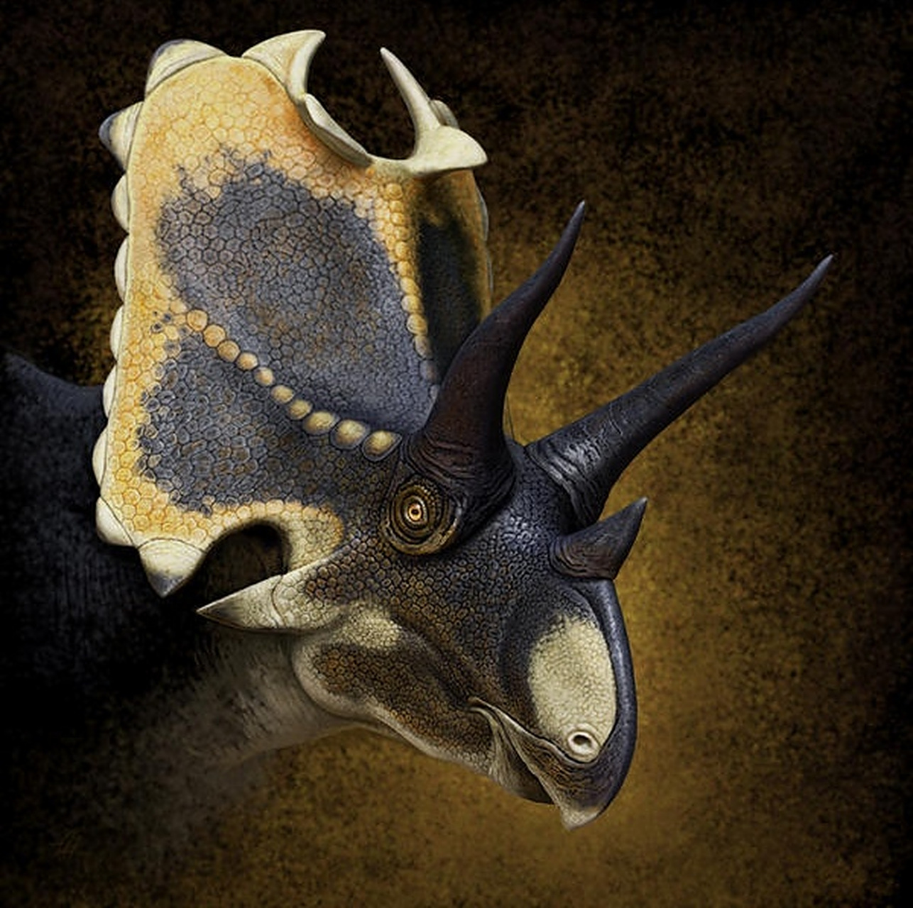 继续分享一组古生物插画作品,展现了一组形态各异的角龙类恐龙头像,由