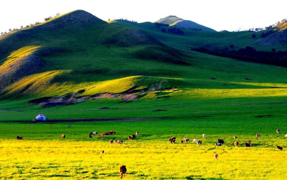 乌兰浩特美食推荐!不吃这些,你敢说来过?