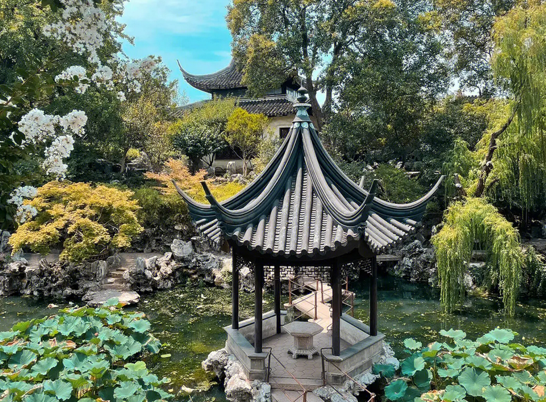 江苏苏州的狮子林是一座占地约14亩的古典园林,以湖石假山为特色,被誉