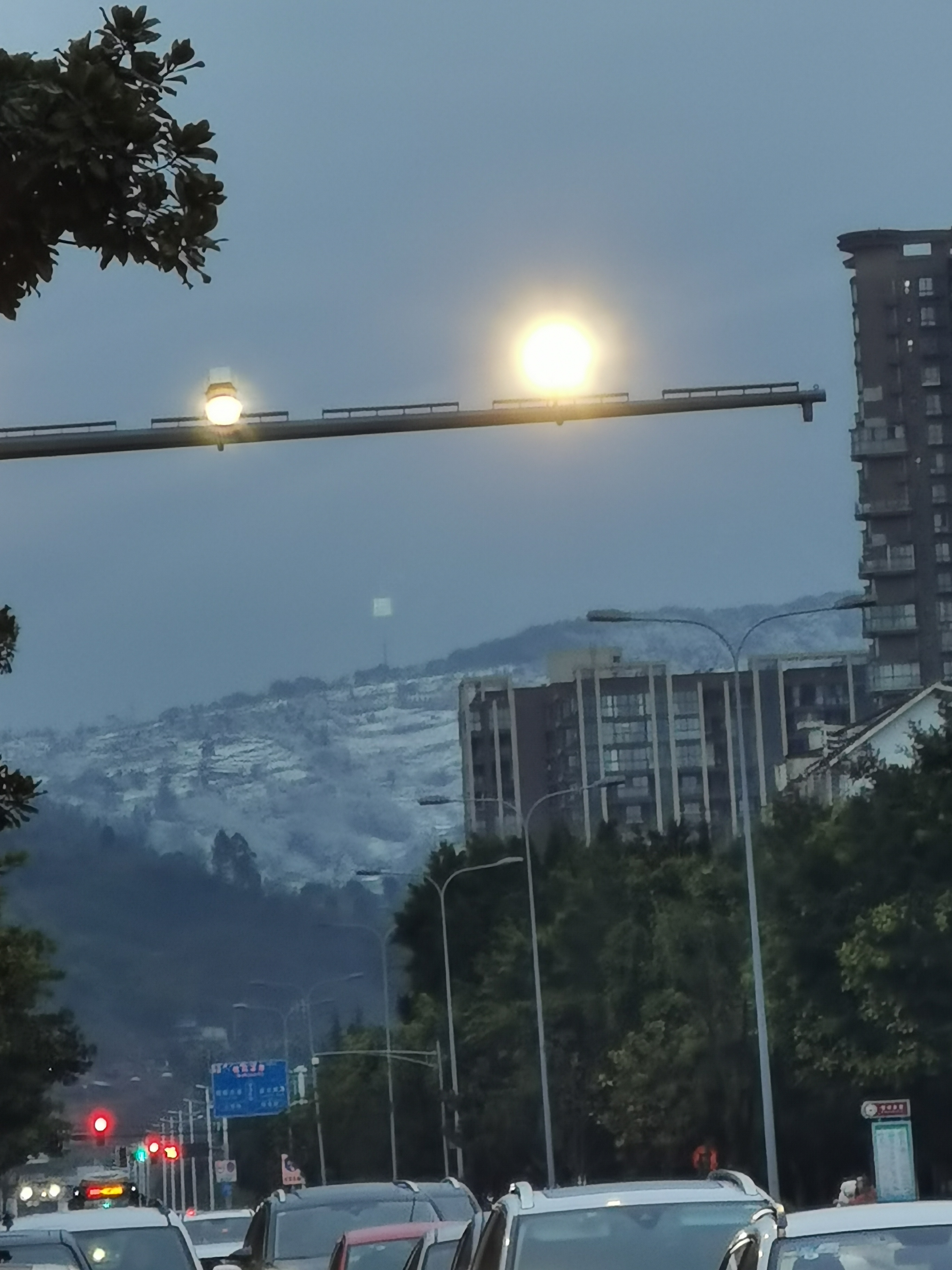 龙泉山下雪