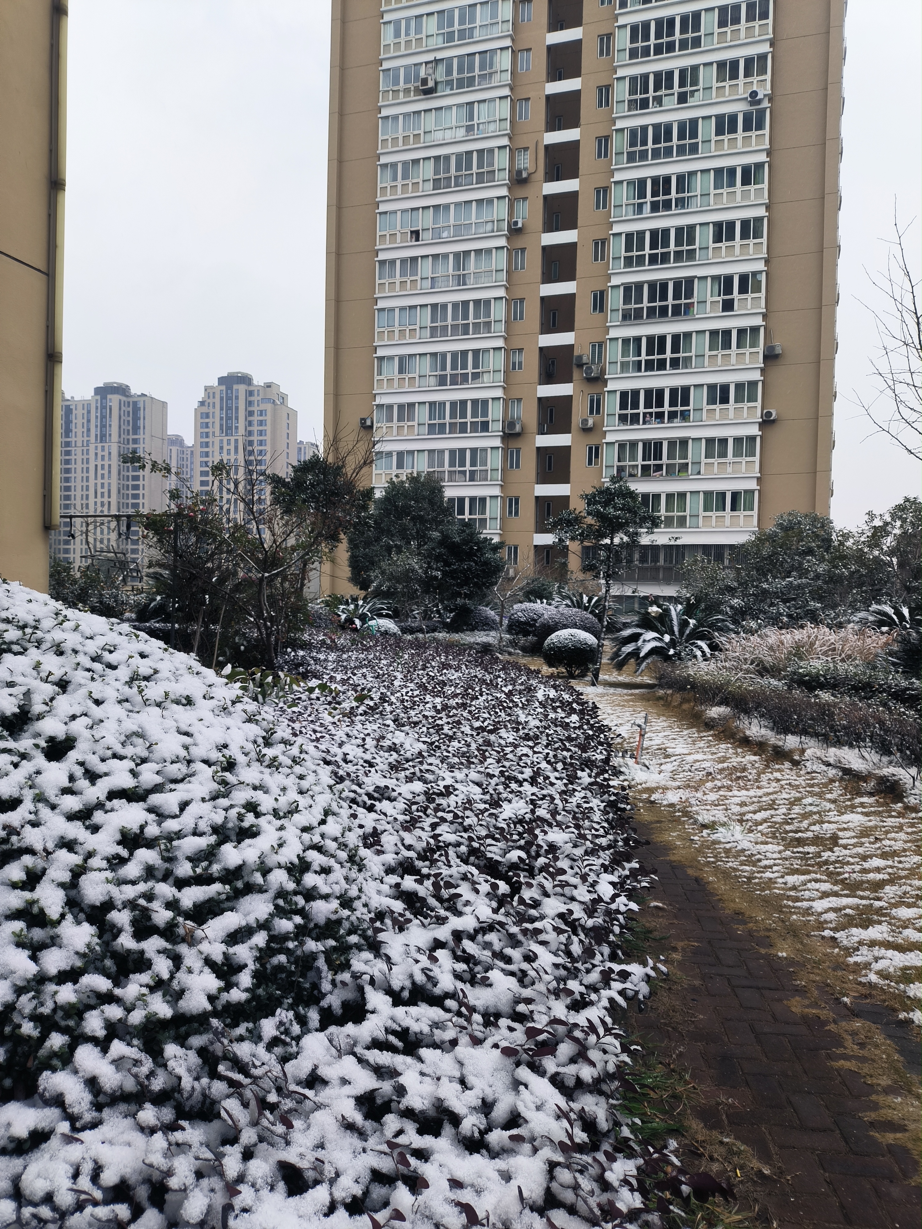 窗外雪景 实拍图片