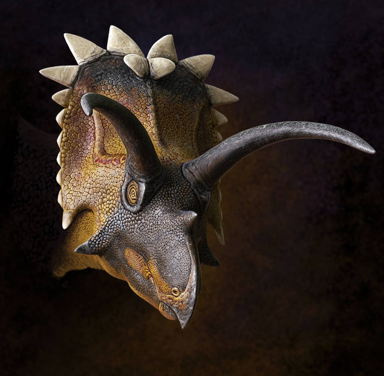 继续分享一组古生物插画作品,展现了一组形态各异的角龙类恐龙头像,由