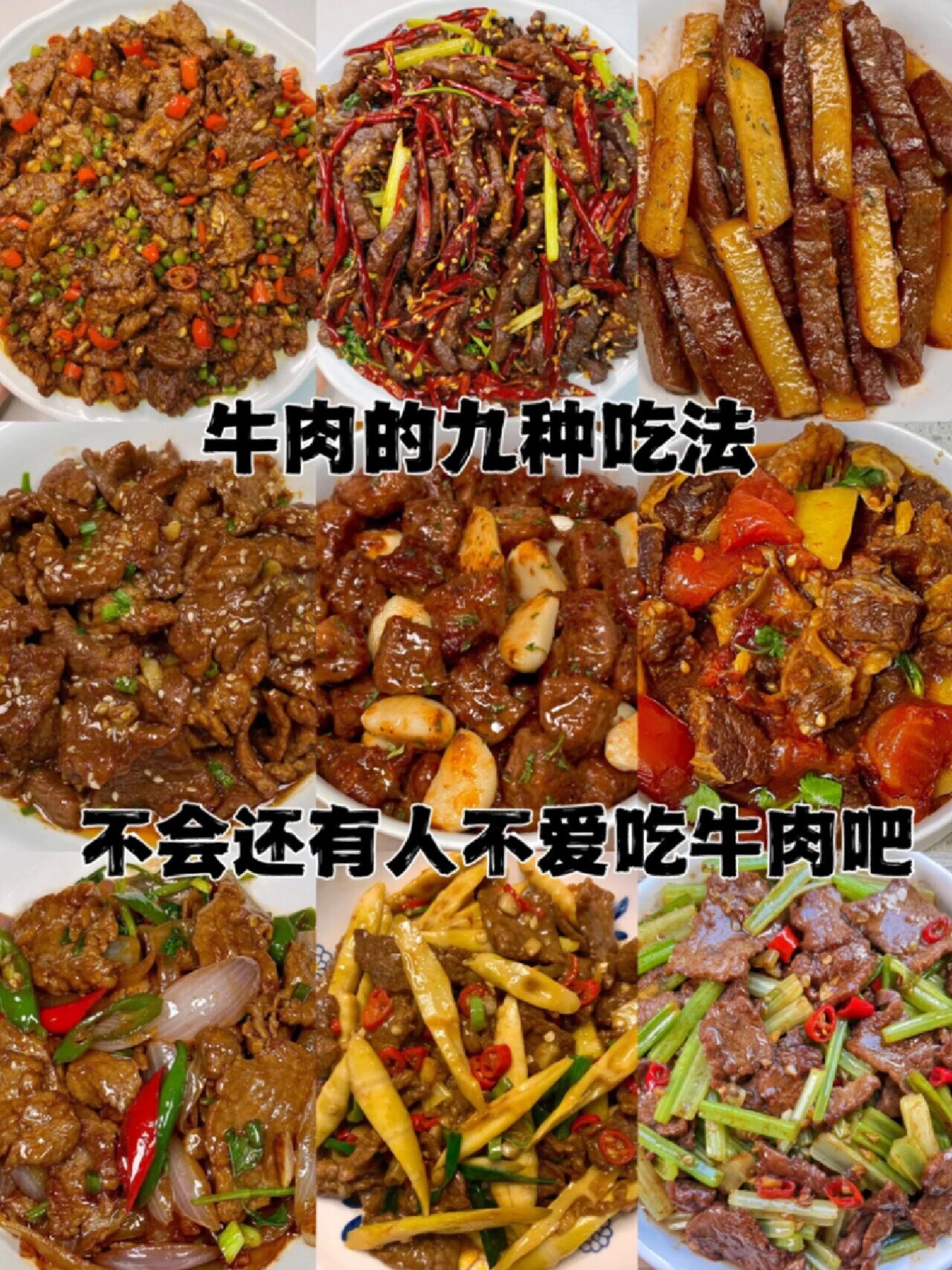 牛肉的九种吃法