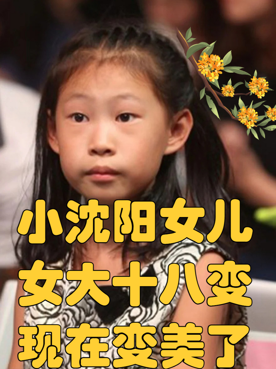 小沈阳女儿,女大十八变,现在变美了 小沈阳的女儿曾被网友骂长得丑,但