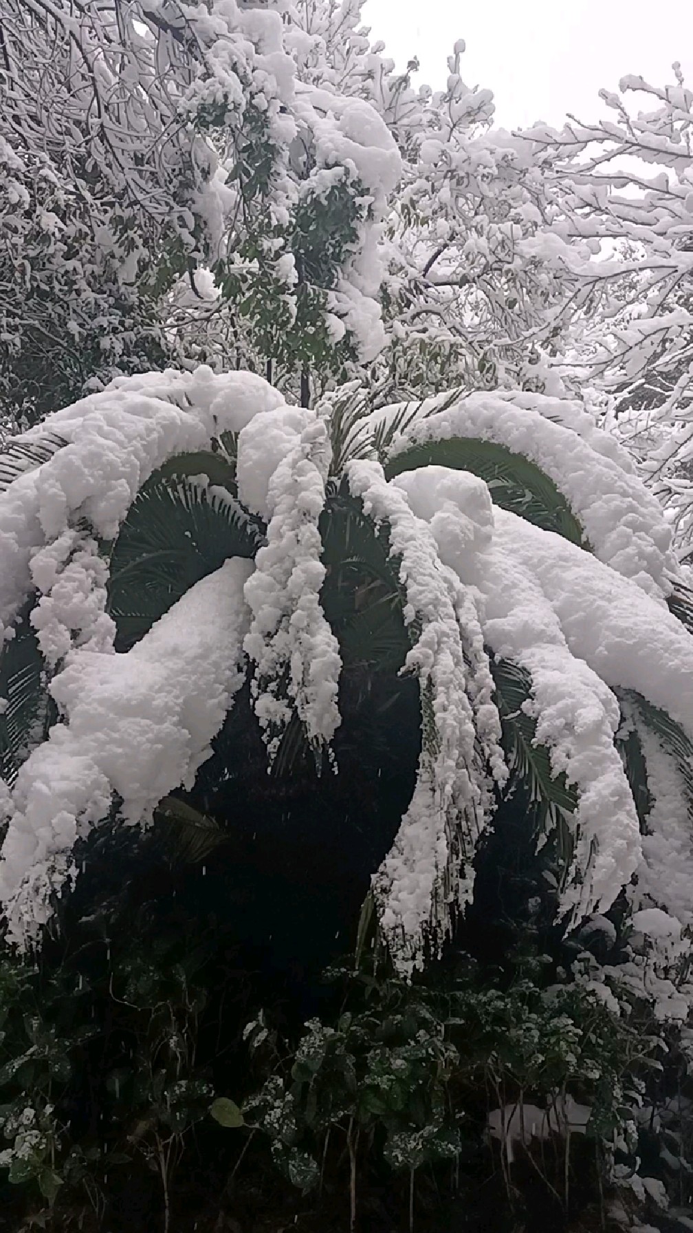 湘西雪景图片图片