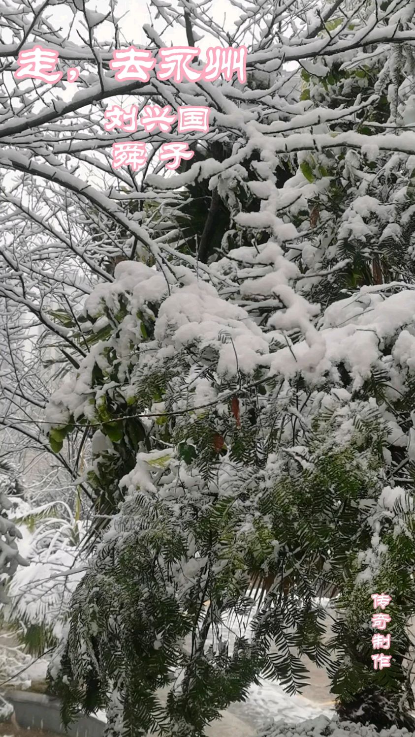 刘兴国/舜子《走,去永州》永州下雪了