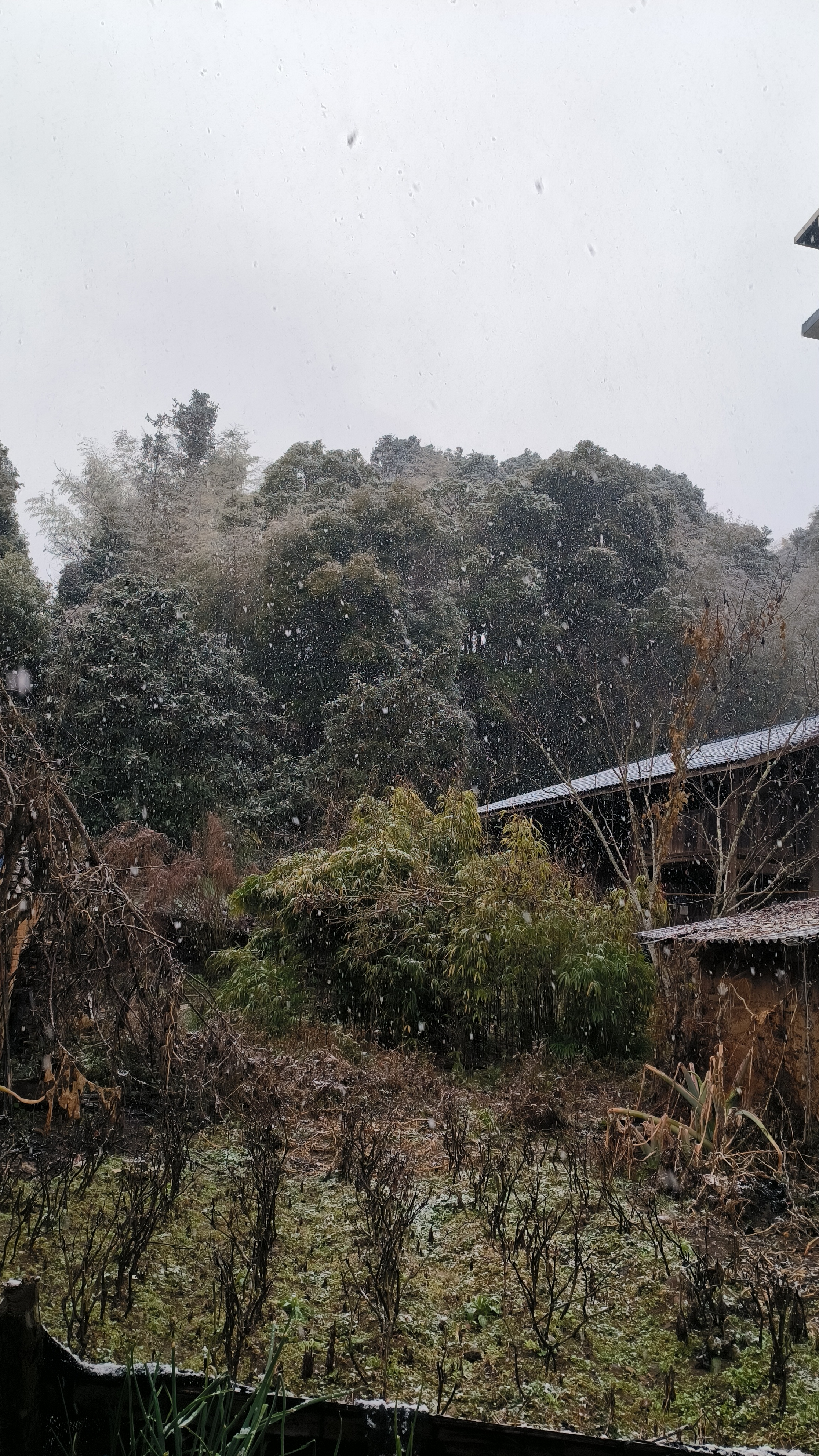 武夷山下雪了图片