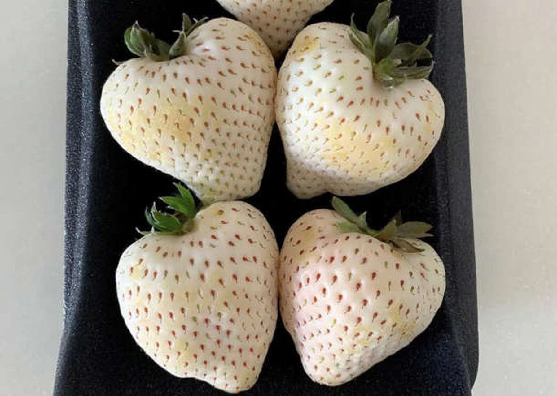 跨年创作挑战赛#  世界上的昂贵水果:白宝石草莓 价格:每颗10美元