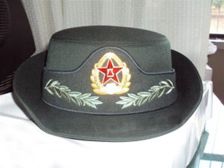 哪些军衔会有麦穗的图案?