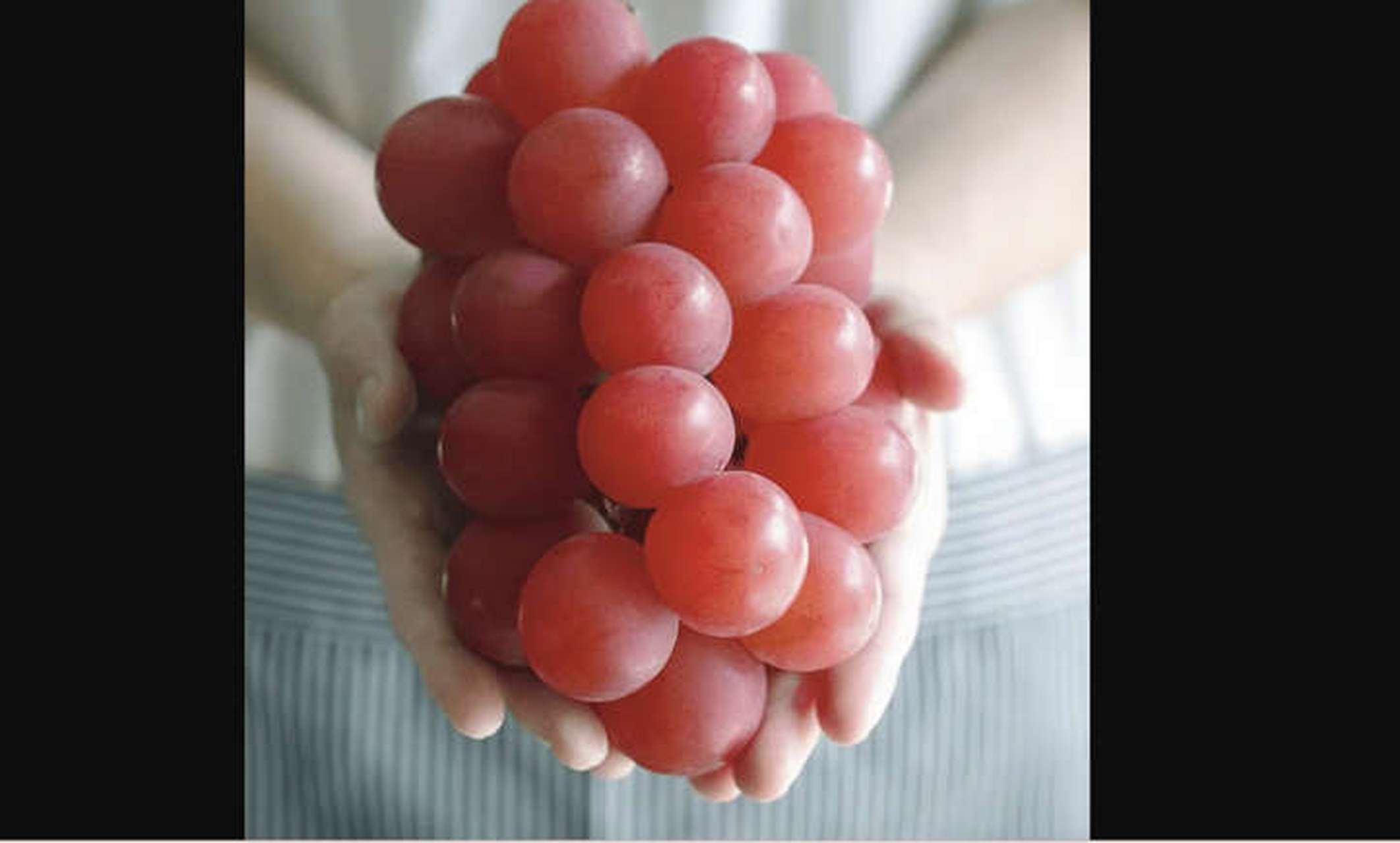 跨年创作挑战赛#  世界上的昂贵水果:日本红宝石罗马葡萄 价格:90