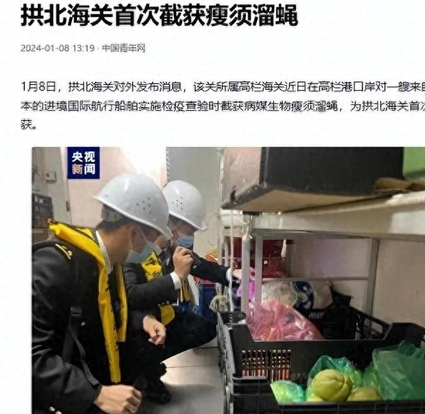 日本货船检出病媒生物,随后数百万只虫卵非法入境,该警惕了