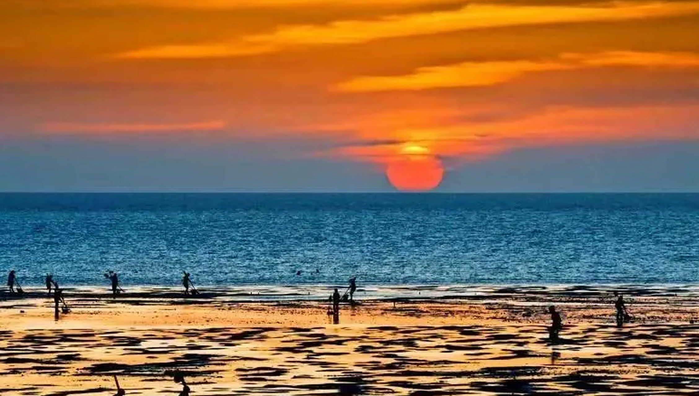 江苏黄金海滩位于启东市寅阳镇东部,是黄海湿地省级自然保护区北部的