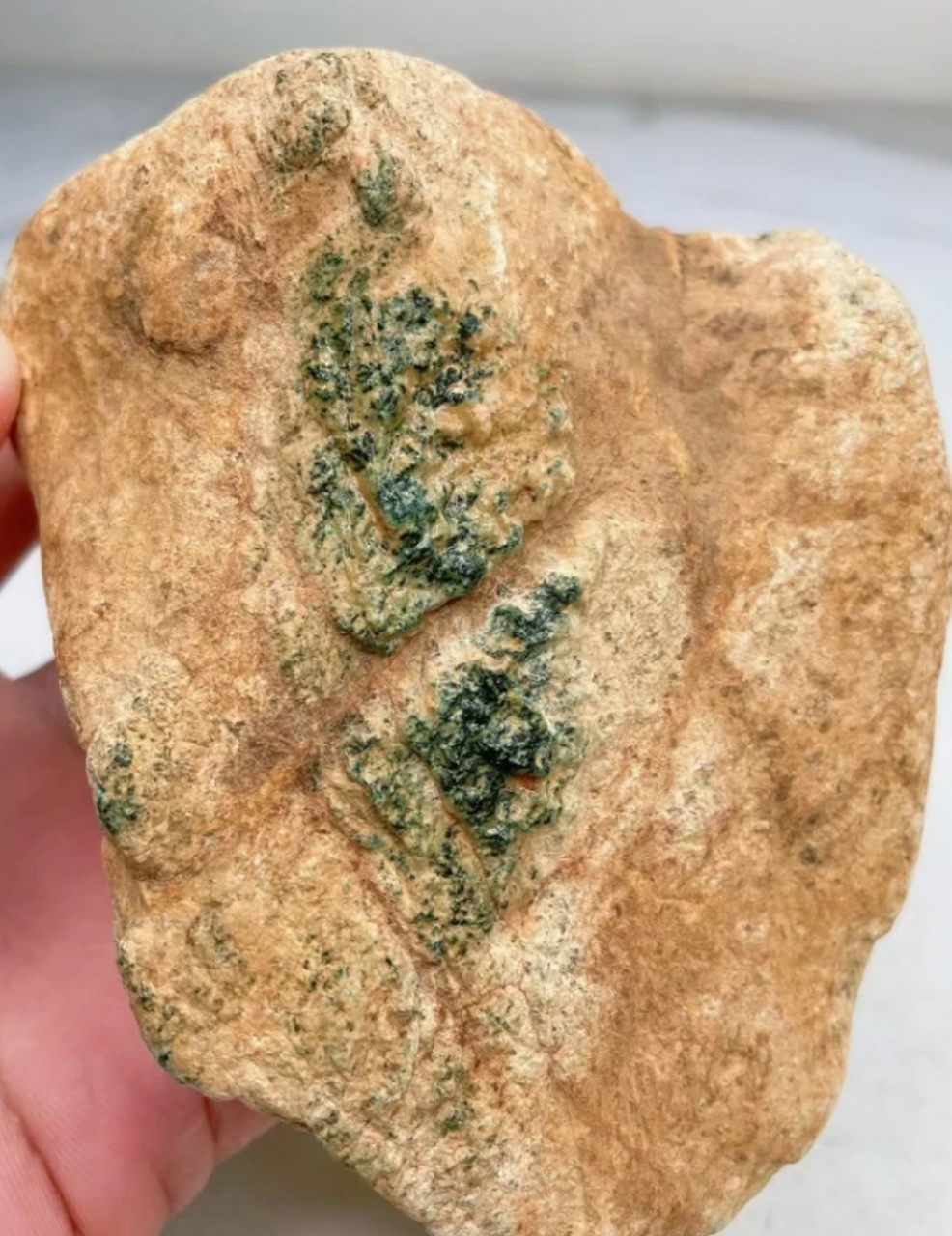 虽然蟒带是翡翠原石中常见的特征,但并不是所有的蟒带都有颜色.